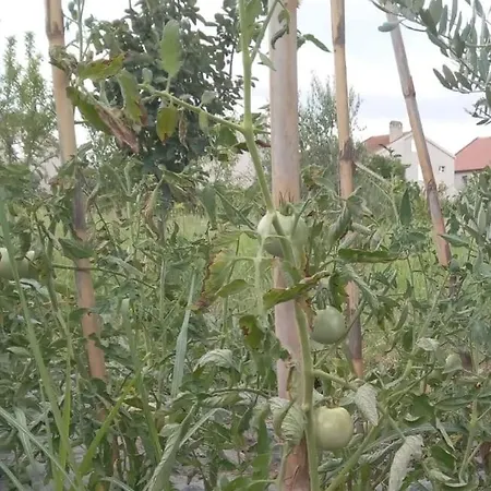Villa Garden View